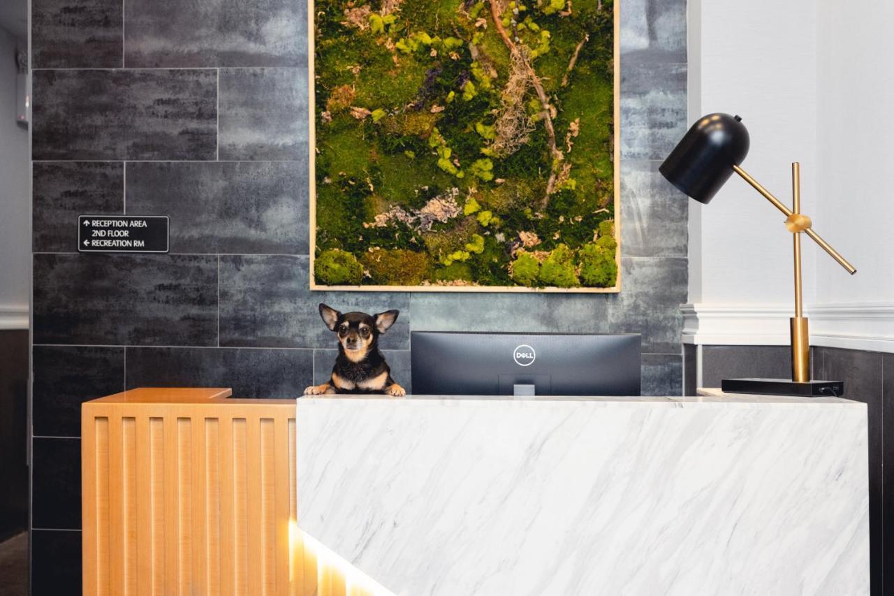 The Modernist Hotel New York Bagian luar foto